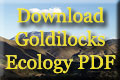Get Goldilocks e-Book